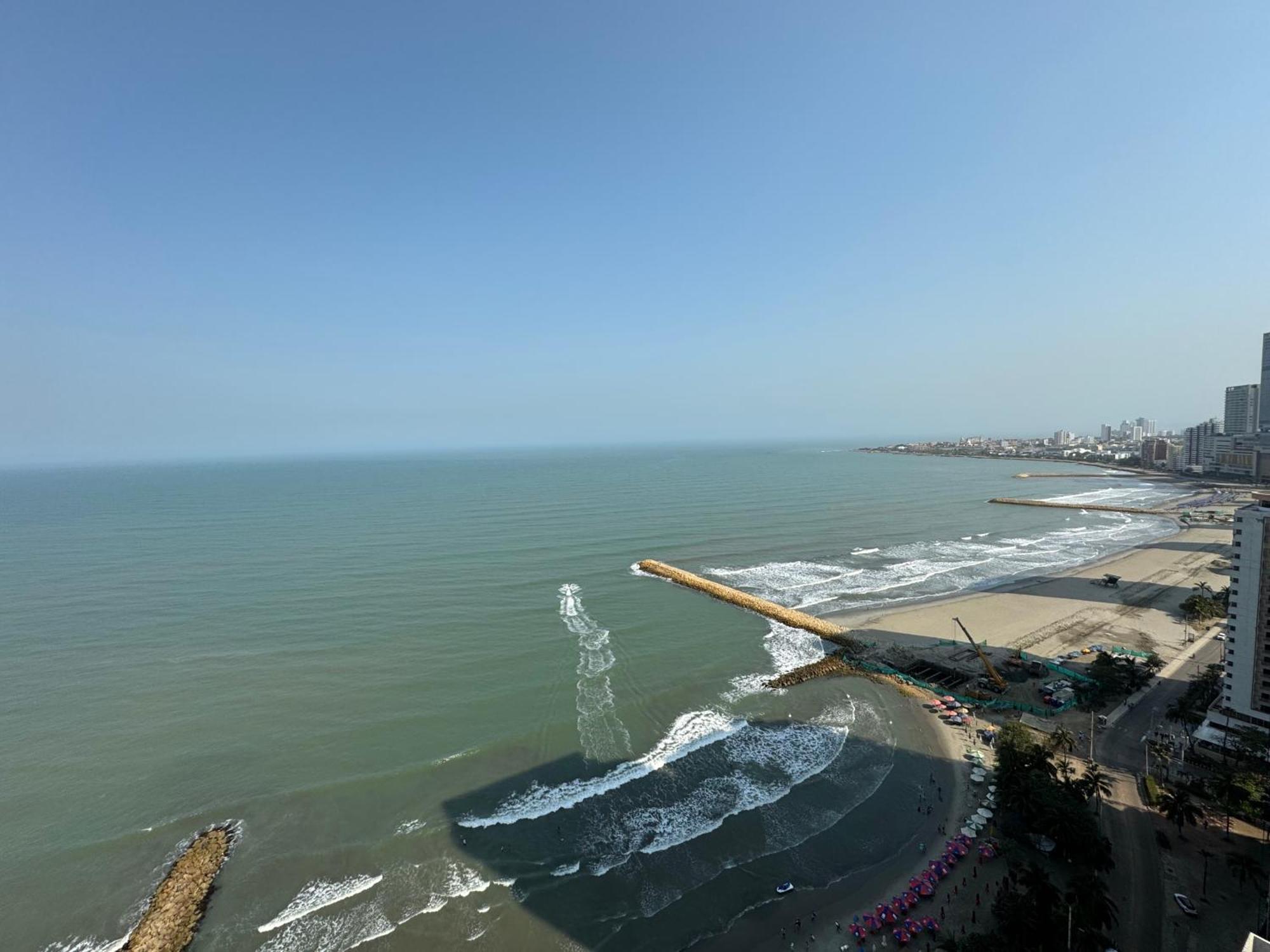 Apartamento Palmetto Eliptic Icdi